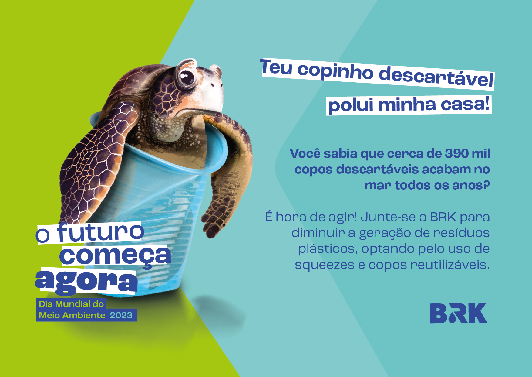 dma_A4_Tartaruga