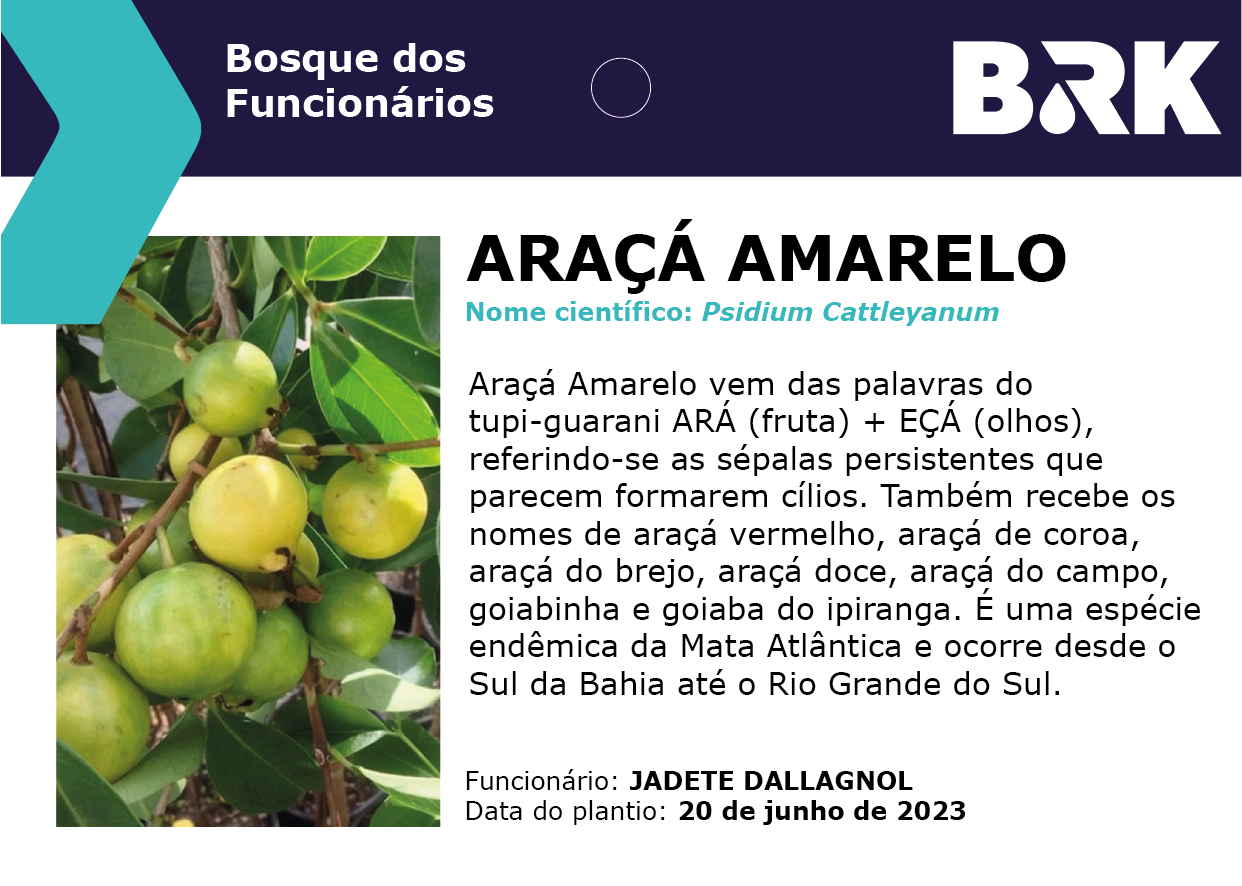 Placa_Bosque dos Funcionários_VÁRIOS-07