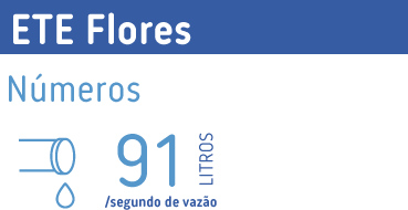 01 ETE Flores